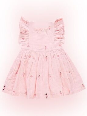 Pink Chicken Ballerina Embroidery Elsie Dress